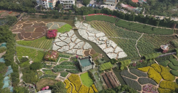 Bản tin Bất động sản Plus: Nhiều sai phạm trong quản lý đất đai ở "Thung lũng hoa Hồ Tây''