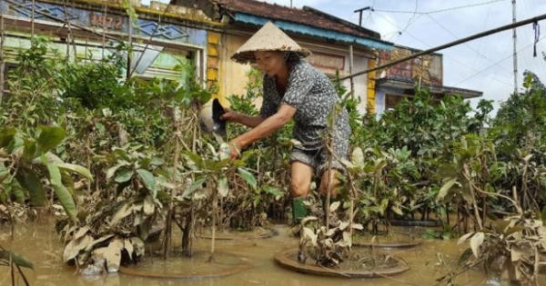 Lũ chồng lũ, dân miền Trung mất tết
