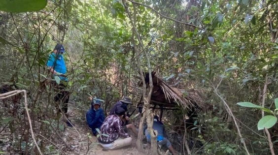 Nghệ An: Thủ vũ khí "nóng", dựng lán bán ma túy trong rừng sâu