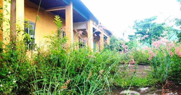 245 phòng học bỏ hoang tại Gia Lai: Lãng phí