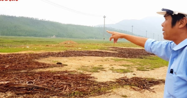 Gói thầu thuộc Dự án Nhiệt điện Quảng Trạch: Các nhà thầu tố cáo nguy cơ “thông thầu”?