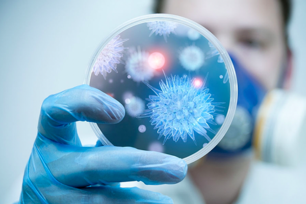 Tăng cường công tác kiểm dịch tại các cảng hàng không để phòng chống dịch bệnh do virus Nipah