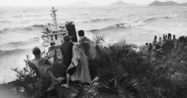 Bình Định: Điều tra vụ chìm 10 tàu hàng khiến nhiều thuyền viên chết và mất tích