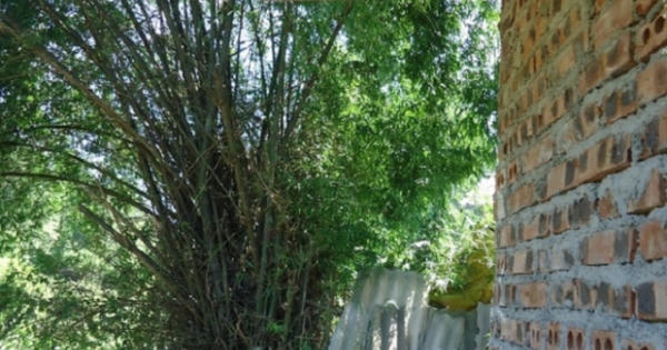 Thông tin bất ngờ vụ xây chuồng gà phải xin phép