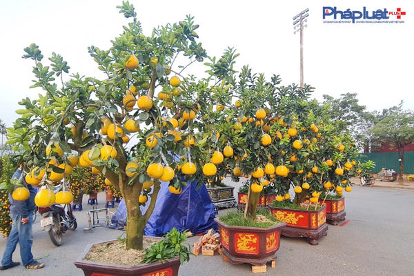 Công điện của Thủ tướng về thực hiện các nhiệm vụ để người dân đón Tết