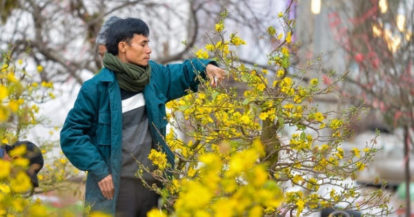 Thưởng Tết 2020, người nhận 3,5 tỷ, người chỉ 30.000 đồng Thưởng Tết 2020, người nhận 3,5 tỷ, người chỉ 30.000 đồng