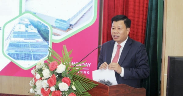 Hải Phòng: Xúc tiến đầu tư năng lượng tái tạo trong khu công nghiệp