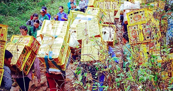 "Thiên đường" hàng lậu Tân Thanh: Những đồng tiền có vị mặn chát