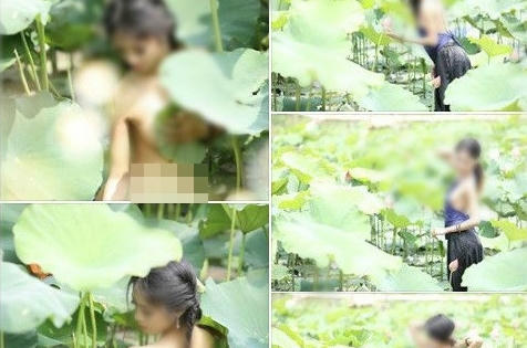 Cộng đồng mạng lên án thiếu nữ chụp ảnh khoả thân ở đầm sen