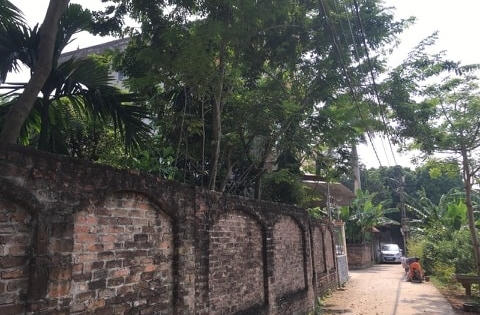 Đông Anh: Phát hiện thêm cuốn sổ đỏ được ký khống tại xã Xuân Canh Đông Anh: Phát hiện thêm cuốn sổ đỏ được ký khống tại xã Xuân Canh