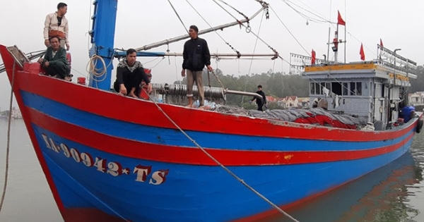 Video lai dắt tàu cá gặp nạn trên biển cập cảng an toàn