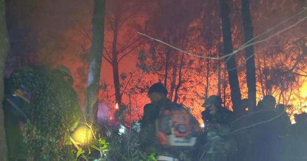 Rừng thông đang bốc cháy dữ dội, đám cháy áp sát khu dân cư