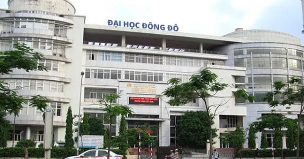 Sẽ thu hồi các bằng tiến sĩ liên quan đến sai phạm của Đại học Đông Đô