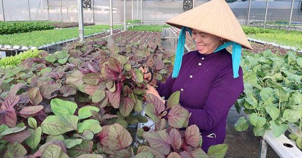 Bà Rịa – Vũng Tàu với quy hoạch thời kỳ 2021-2030, tầm nhìn đến năm 2050