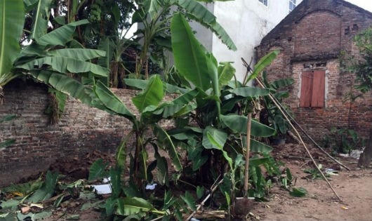 190 ngày hãi hùng của kẻ giấu xác 2 bé gái trong vườn nhà