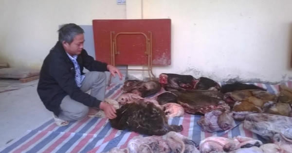 Thanh Hóa: Tịch thu gần 600 kg động vật thuộc nhóm quý hiếm