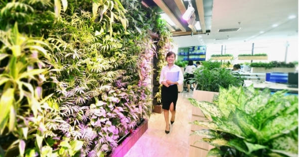 Sở hữu căn hộ officetel làm văn phòng: Những lợi thế ưu tiên