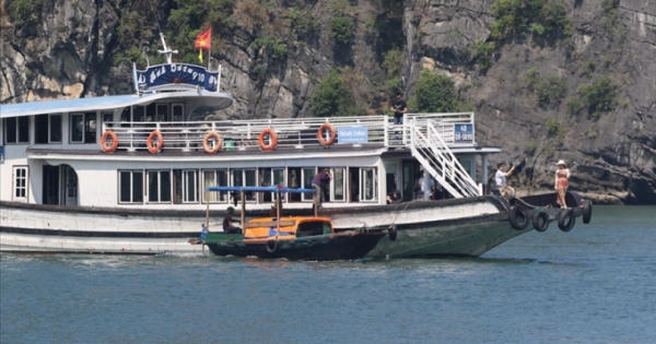 Triệu tập 15 chủ tàu du lịch ép khách mua hàng giá "cắt cổ"