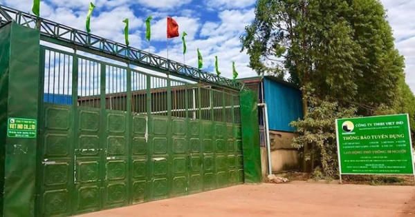 Bắc Giang: Công ty TNHH Việt Ind sai phạm đầy rẫy, coi thường tính mạng công nhân