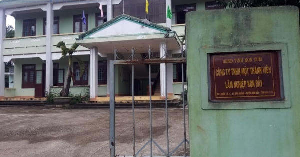 Công ty TNHH MTV Lâm nghiệp Kon Rẫy dính loạt sai phạm về tài chính, kế toán