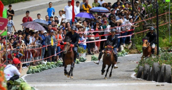 Những khoảnh khắc tranh tài quyết liệt tại giải đua ngựa Fansipan lần thứ nhất Những khoảnh khắc tranh tài quyết liệt tại giải đua ngựa Fansipan lần thứ nhất