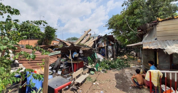 TP HCM: Cây gòn hơn 50 tuổi bật gốc đè nát dãy nhà trọ, nhiều người thoát chết