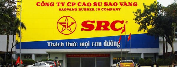 Lùm xùm vụ IPO Cao su Sao Vàng, nhà đầu tư rút lui, cổ phiếu rớt giá mạnh Lùm xùm vụ IPO Cao su Sao Vàng, nhà đầu tư rút lui, cổ phiếu rớt giá mạnh