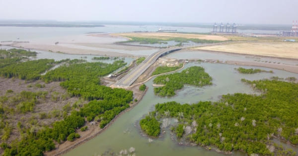 Bà Rịa - Vũng Tàu: Việc thu hồi dự án Cảng Cái Mép Hạ là chưa phù hợp Luật Đất đai?