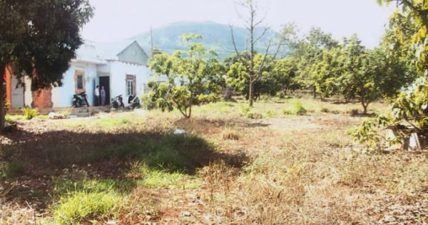 Lâm Đồng: Khuất tất quá trình xử lý nghi án chiếm nhà từ đường