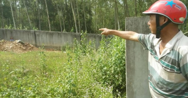 Thắp nhang ở nghĩa trang 14 người bị đàn ong khổng lồ tấn công