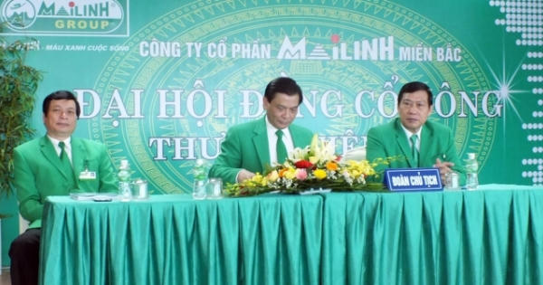 Để rút vốn 'khủng', Mai Linh miền Bắc đã vi phạm nghiêm trọng quy chế tài chính