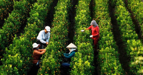 Vùng đất Hưng Yên với những biến đổi về địa giới hành chính