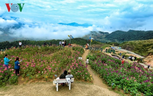 Đèo Pha Đin - Con đường ý chí tuổi 20 Đèo Pha Đin - Con đường ý chí tuổi 20