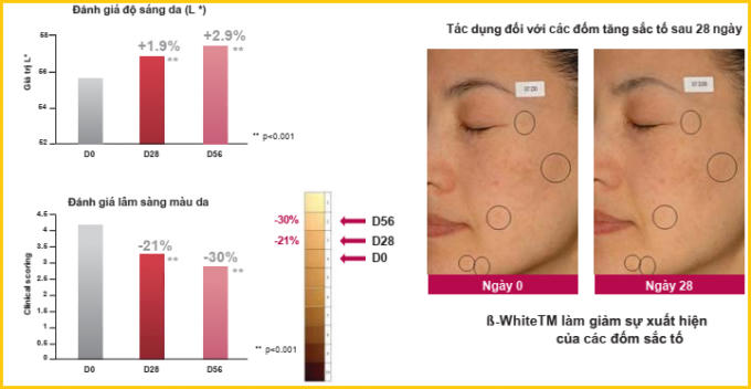 Tìm hiểu công nghệ chống nám từ Beta- White hướng đích dạng Liposome