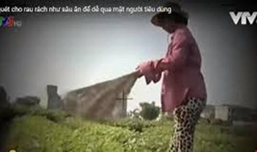 VTV bị phạt 50 triệu đồng vì phát thông tin sai sự thật