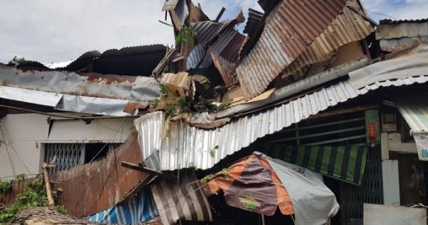 Bé 13 tuổi đang ngủ trong nhà bị cây xanh bật gốc đè trúng