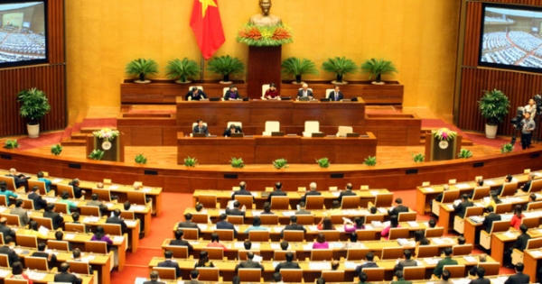 Hy vọng ở kỳ họp
