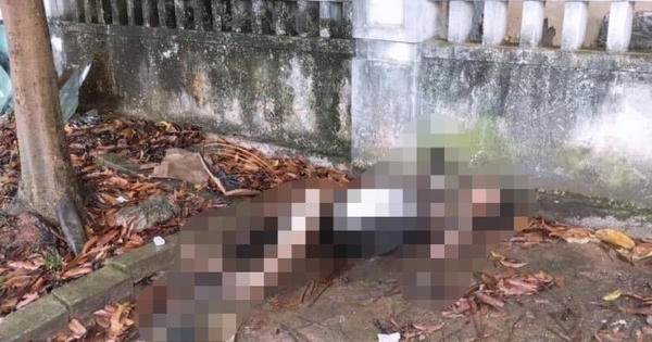 Bàng hoàng phát hiện thi thể người phụ nữ bên đường