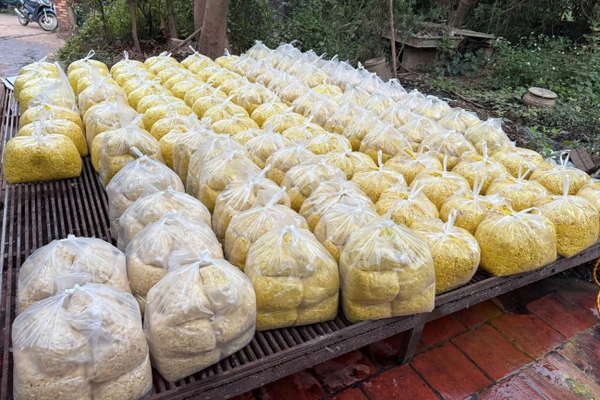 Bắc Ninh: Trộn hóa chất gây ung thư vào riềng xay tươi bán ra thị trường