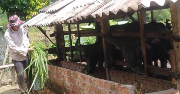 Vốn chính sách vun mầm no ấm ở Minh Long