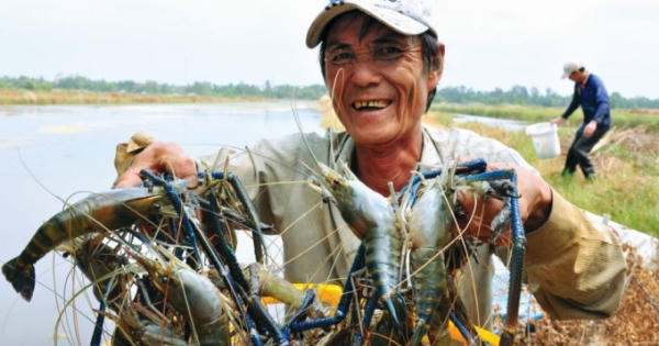 Chăn nuôi VietGAP phát triển mạnh tại Đồng Nai