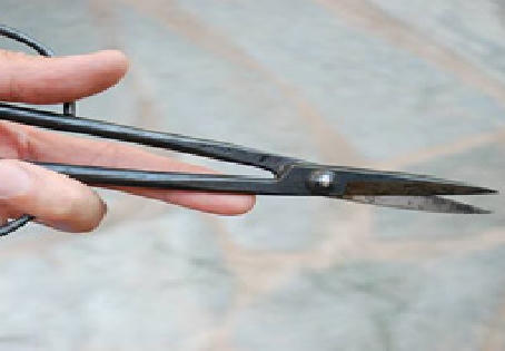 Khánh Hòa: Người phụ nữ dùng kéo tự sát tại trụ sở công an