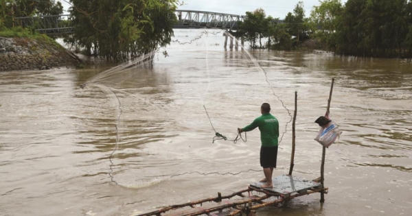 An Giang: Mùa lũ kỳ lạ, cá trôi theo nước, dân bà cậu tiếc hùi hụi