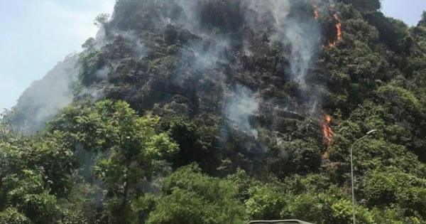 Ninh Bình: Cháy rừng đặc dụng, hàng trăm người tham gia dập lửa Ninh Bình: Cháy rừng đặc dụng, hàng trăm người tham gia dập lửa