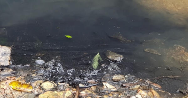 Bắt khẩn cấp 3 đối tượng đổ trộm dầu thải gây ô nhiễm nguồn nước sạch Sông Đà