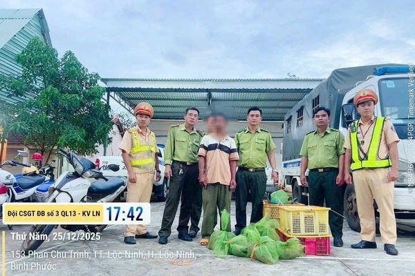 Cuối năm, mạnh tay xử lý tình trạng nuôi nhốt chim trời, thú hoang trái phép