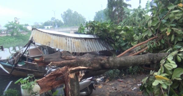 TP HCM: Mưa giông khiến nhiều nhà dân tốc mái, cây xanh ngã đổ TP HCM: Mưa giông khiến nhiều nhà dân tốc mái, cây xanh ngã đổ