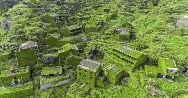 "Ngôi làng ma" bị cây xanh "nuốt chửng"