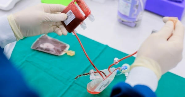 Liệu pháp tế bào gốc: “Cửa sống” cho các bệnh nan y