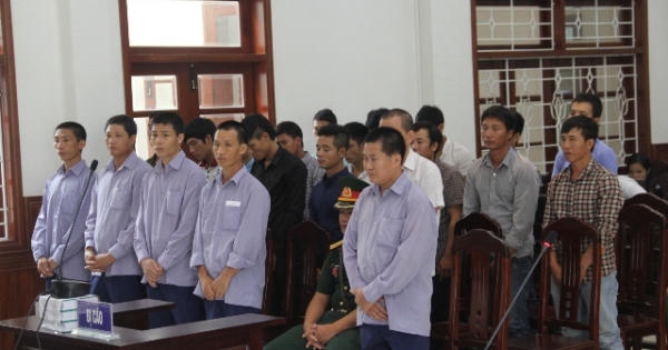 Quảng Nam: Xét xử vụ phá rừng Pơ mu khu vực cửa khẩu Nam Giang